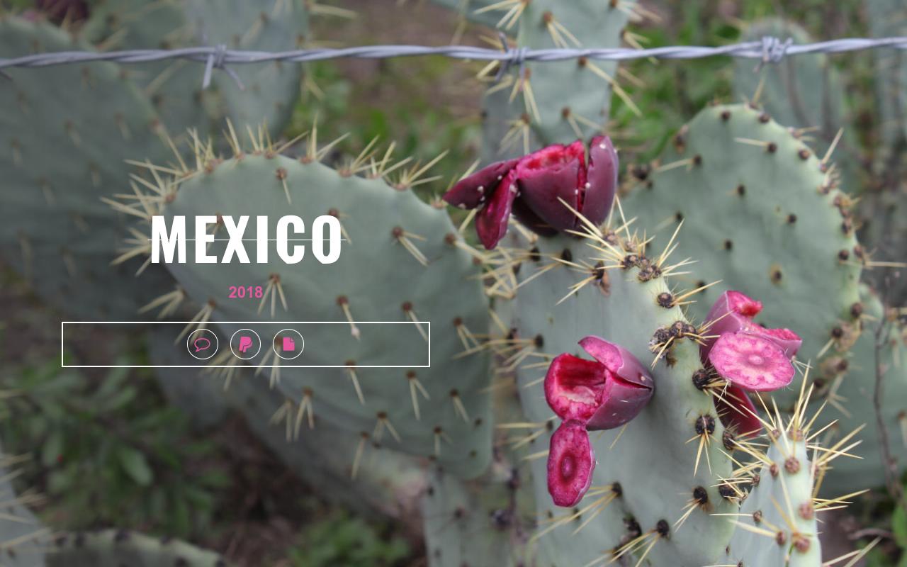 Carrd profile picture for @mexico